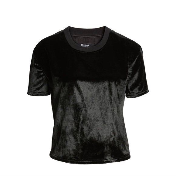 Hudson Jeans Velvet Crop Tee - Picture 3 of 8